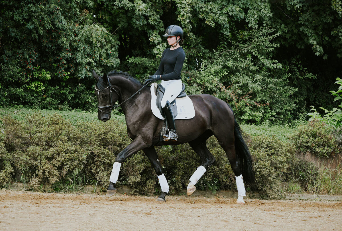 DSC 8611 Kopie scaled - Fiola