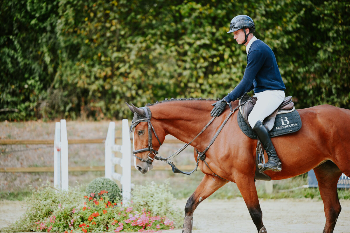 DSC 8656 scaled - Chenoa Blue