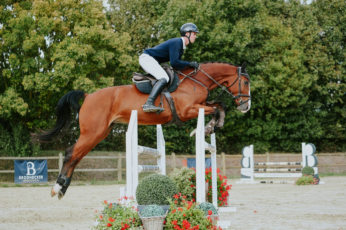 DSC 8725 scaled - Chenoa Blue