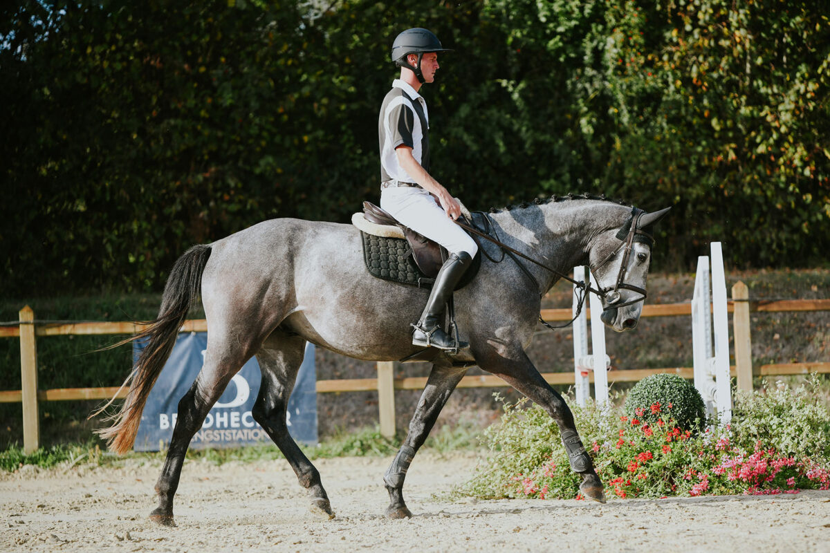 DSC 9010 scaled - Carl