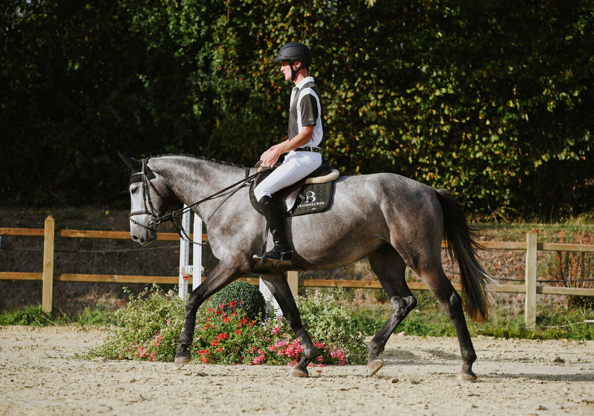 DSC 9044 scaled - Carl