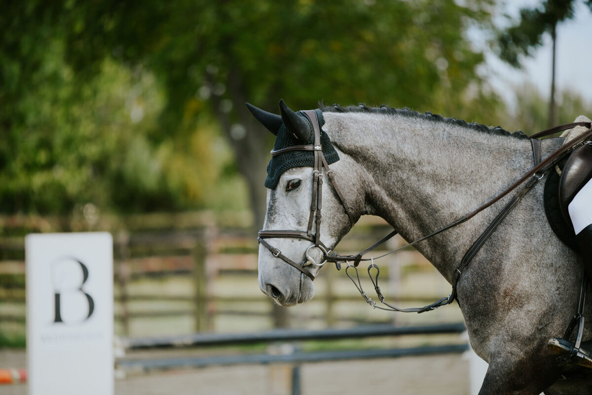 DSC 9170 scaled - Carl
