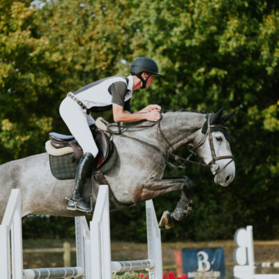 DSC 9234 scaled 400x400 - Sportpferde