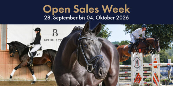 Titelbild Open Sales 2026 WEB v2 scaled 600x300 - Home